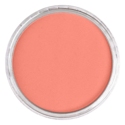 PanPastel - Vermillion Medium 310.6
