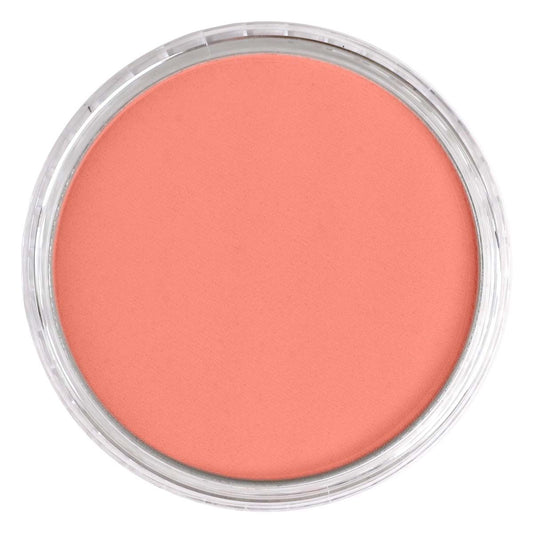 PanPastel - Vermillion Medium 310.6