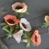 Crepe paper anemone in pink and white