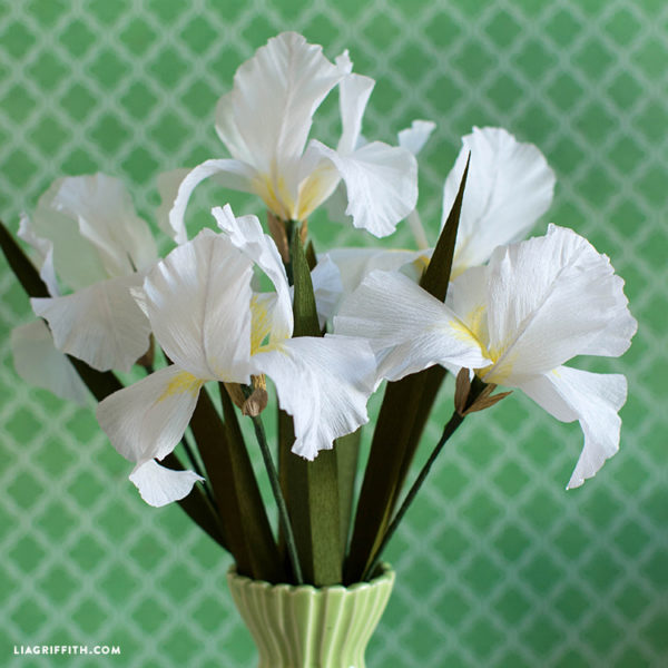 crepe paper iris