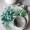 Paper Air Plants on plate