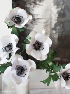Frosted Anemone Flowers