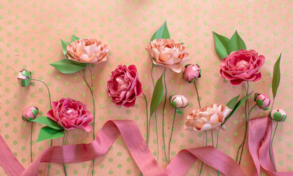 Paper Camellia Kit