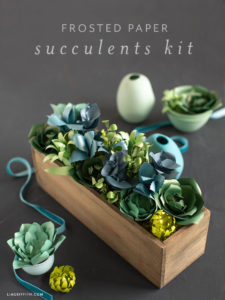 Paper Succulent Plant Kit