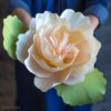 Jumbo crepe paper peony using double sided crepe paper