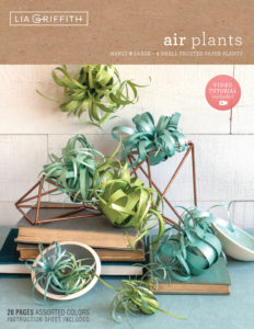 Paper DIY Air Plant Kit