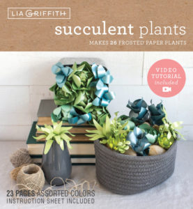Paper Succulent Kit