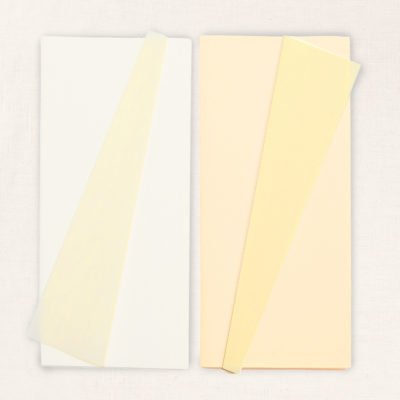 Lia Griffith Extra Fine Crepe Paper Folds Rolls 107.1-Square Feet ~ Flora  Asst.