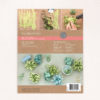 frosted air plant flowers