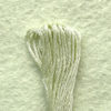 DMC Embroidery Floss - Light Pine Yellow Green 772