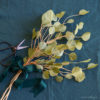 crepe paper silver dollar eucalyptus