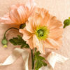 Lia Griffith Icelandic poppy commercial use