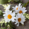 crepe paper daisy flowers