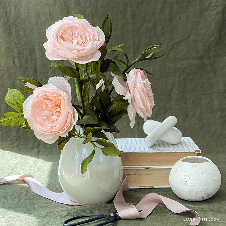 white juliet rose
