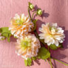 Lia Griffith Crepe Paper Extra Fine - Fern (Long) - Image 4