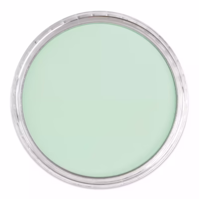 PanPastel® Artist Pastel - Pearlescent Green 956.5