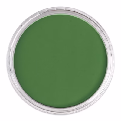 PanPastel® Artist Pastel - Permanent Green Shade 640.3