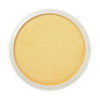 PanPastel® Artist Pastel - Light Gold 910.5