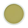 PanPastel® Artist Pastel - Bright Yellow Green Shade 680.3
