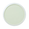PanPastel® Artist Pastel - Chromium Oxide Green Tint 660.8