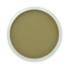 PanPastel® Artist Pastel - Hansa Yellow Extra Dark 220.1