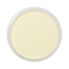 PanPastel® Artist Pastel - Hansa Yellow Tint 220.8