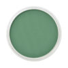 PanPastel® Artist Pastel - Permanent Green Shade 640.3