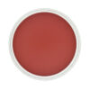 PanPastel® Artist Pastel - Permanent Red Shade 340.3