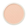 PanPastel® Artist Pastel - Red Iron Oxide Tint 380.8