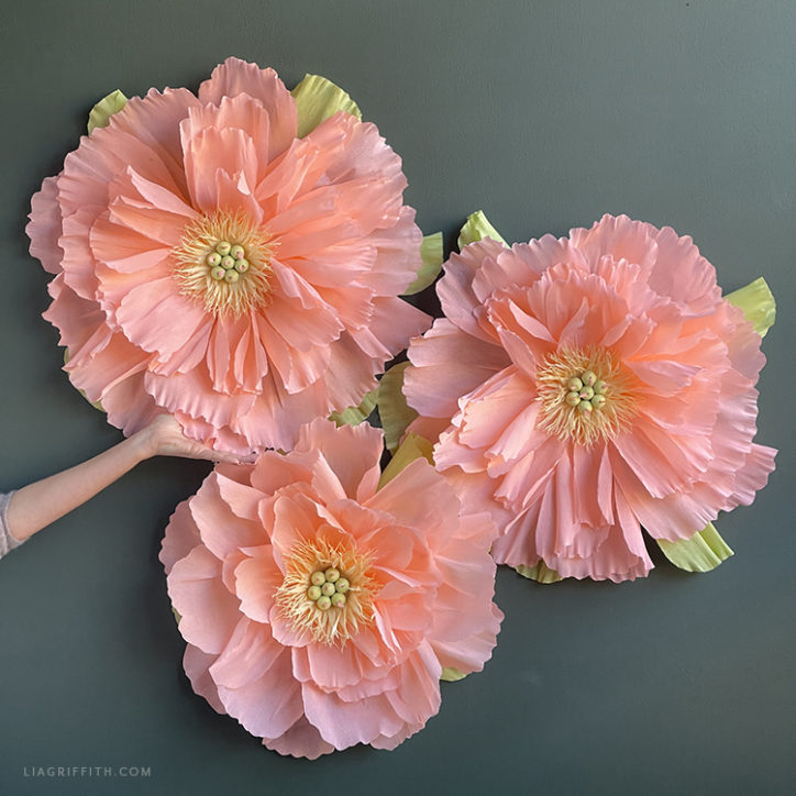 VIDEO: New Crepe Paper Rose Flower Kit - Lia Griffith