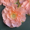 close up of jumbo peony