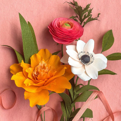 Crepe Paper Flower Kits By Lia Griffith - Paper Flower Diy Kit
