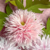 Crepe Paper Pom Pom Poppies Commercial Use Pattern - Image 3