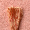 DMC Embroidery Floss - Pale Pumpkin 3825