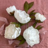 Crepe Paper White Duchess Peony Commerical Use Pattern
