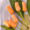 Crepe Paper Tulips - Member Make Bundle - Image 3