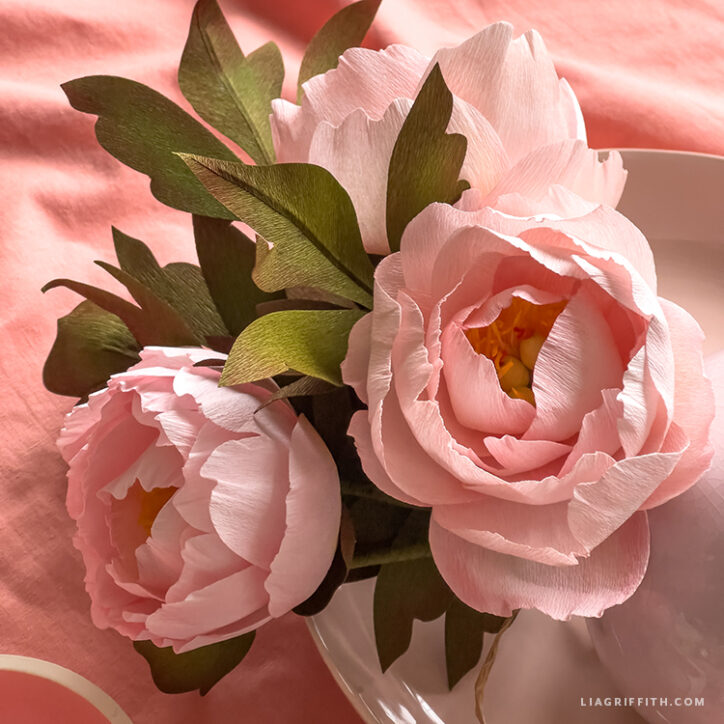 How to Make Pink Felt Poinsettia Plants - Lia Griffith