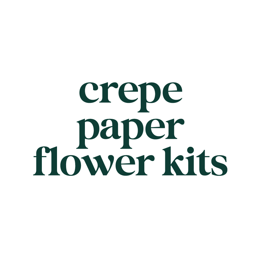 Kettle's Yard x Wild Hive Cyclamen Paper Flower Kit