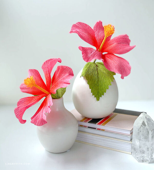 pink hibiscus flowers displayed in white vases