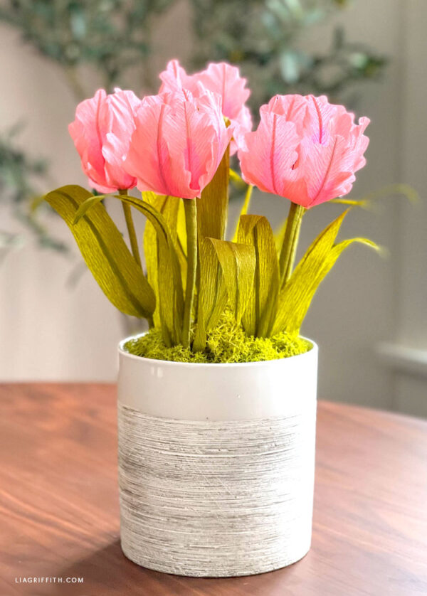 pink parrot tulips in white pot