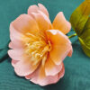 Crepe Paper Peony Flower Materials Bundle - Image 2