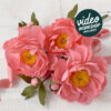 LIMITED EDITION: Crepe Paper Coral Supreme Peony Kit