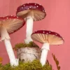 Crepe Paper Amanita Mushrooms  - Digital Download - Image 3