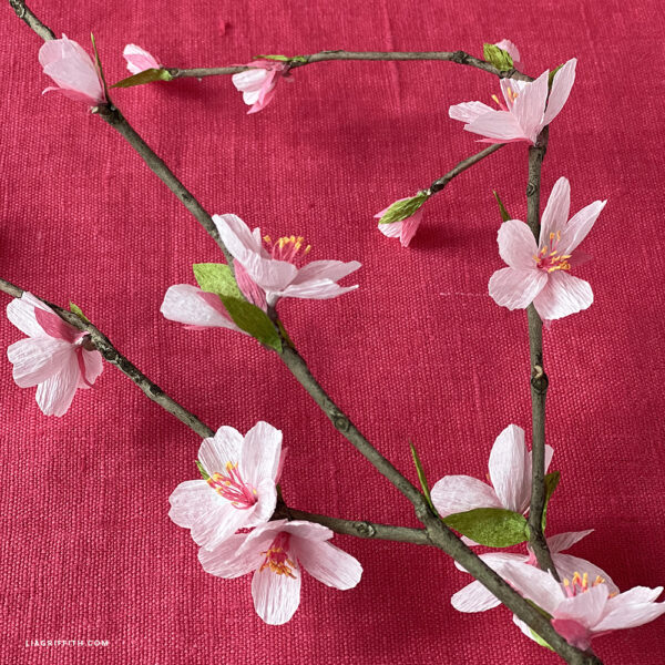 Beginner Crepe Paper Cherry Blossom Bundle - Image 4