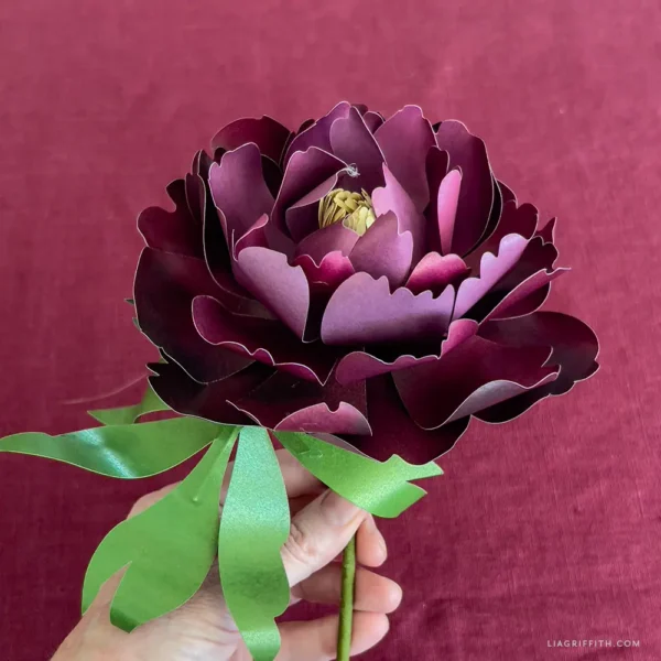 Frosted Paper Plum Peonies Materials Bundle