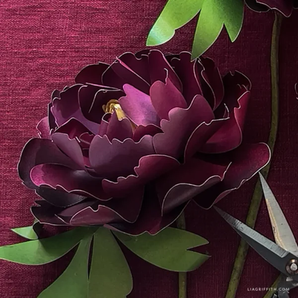 Frosted Paper Plum Peonies Materials Bundle - Image 3
