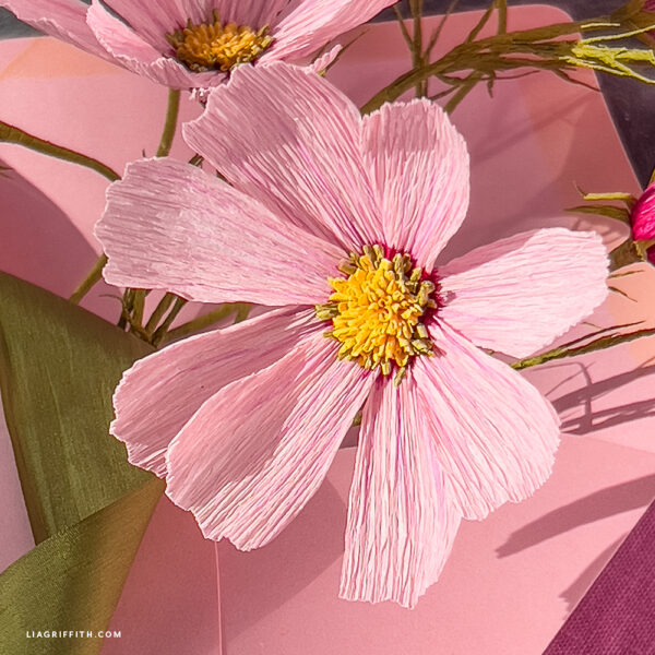 Member Make Bundle - Crepe Paper Cosmos - Image 2