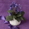 Crepe Paper African Violet- Digital Download
