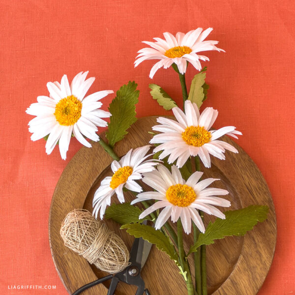 Crepe Paper Shasta Daisies Materials Bundle
