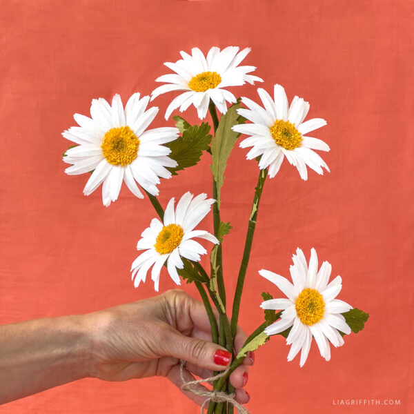 Crepe Paper Shasta Daisy- Digital Download